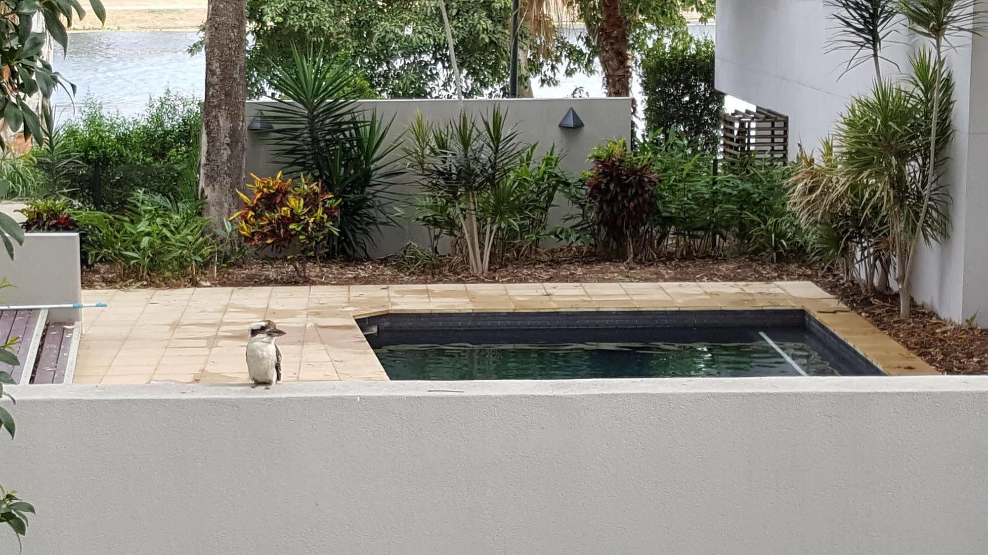 Jacana Apartments Townsville Exteriör bild